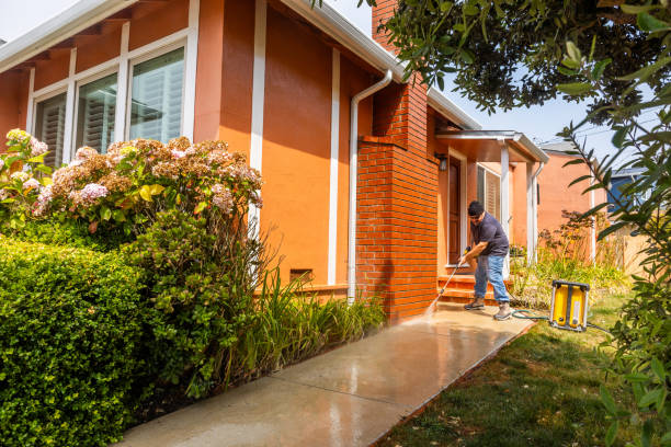 Best Exterior Home Cleaning  in Ceresco, NE