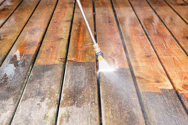 Best Local Pressure Washing Services  in Ceresco, NE